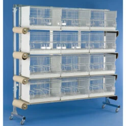 Batterie D'élevage 12 Cages - 60x31x35cm 7 Batterie D'élevage 12 Cages - 60x31x35cm -Oiseau Produits batterie d elevage 12 cages 60x31x35cm 1 3