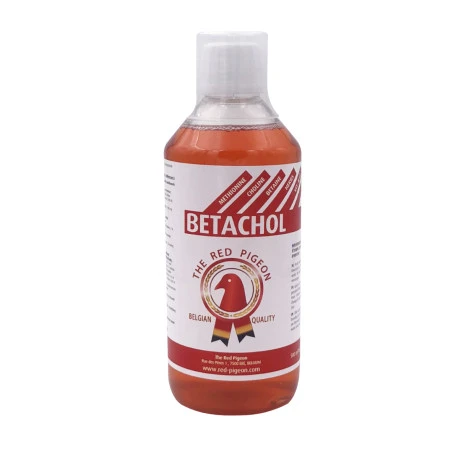 Betachol 500 Ml 2 Betachol 500 Ml – Image 2
