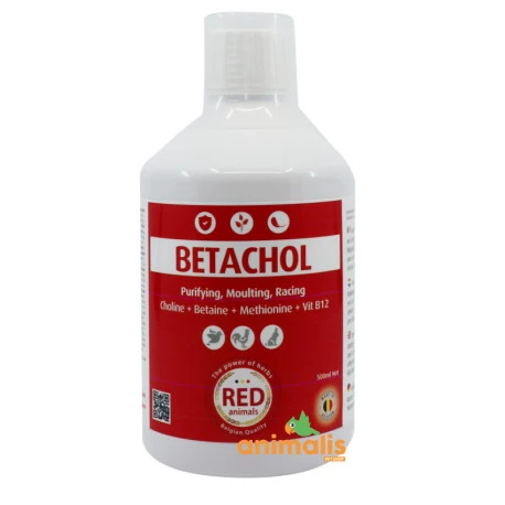 Betachol 500 Ml 1 Betachol 500 Ml