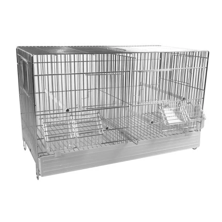 Cage Domus-Molinari 50cm Chromée 1 Cage Domus-Molinari 50cm Chromée
