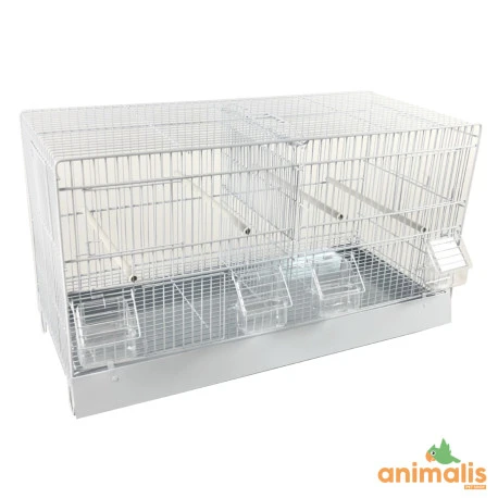 Cage Domus-Molinari 64cm Laquée En Blanc 1 Cage Domus-Molinari 64cm Laquée En Blanc
