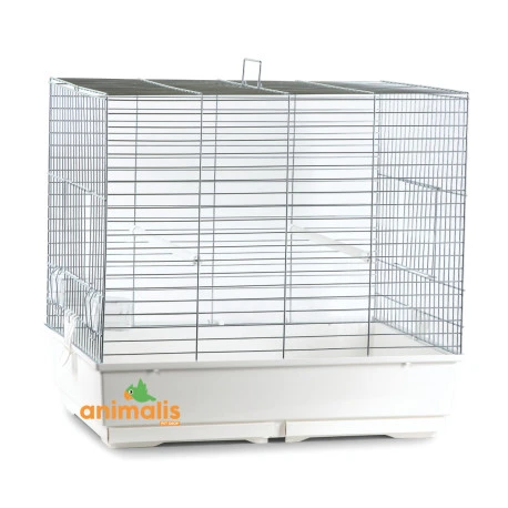 Cage Oiseaux "Clarabella" Chromée Pour Perruches - 70x50x66cm 1 Cage Oiseaux "Clarabella" Chromée Pour Perruches - 70x50x66cm