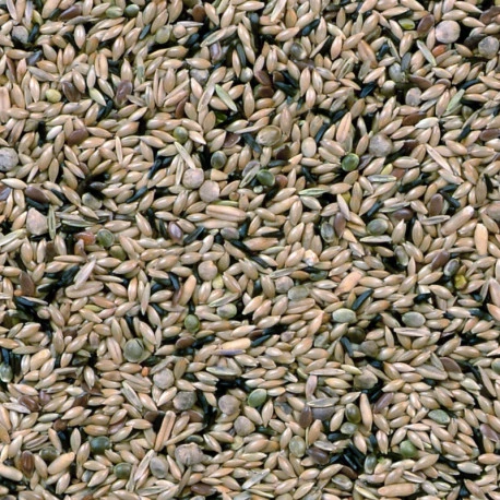 Canaris De Posture Duvo 20Kg 2 Canaris De Posture Duvo 20Kg – Image 2