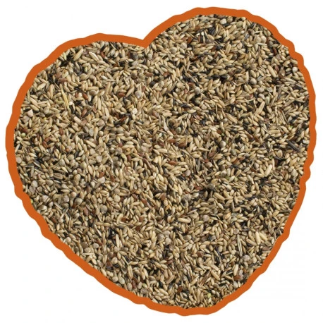 Canaris De Posture Duvo 20Kg 4 Canaris De Posture Duvo 20Kg – Image 4