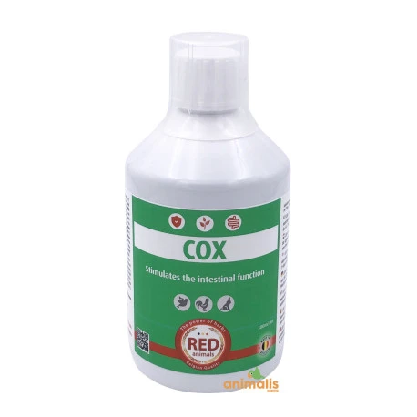 Cox 500 Ml - Intestins Sains 1 Cox 500 Ml - Intestins Sains