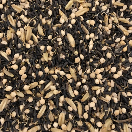 Germix Canaris Ailes Blanches 4kg 2 Germix Canaris Ailes Blanches 4kg – Image 2