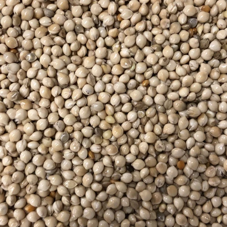 Germix Exotique 4kg 2 Germix Exotique 4kg – Image 2