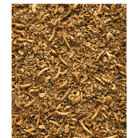 VERSELE-LAGA Insect Patee Premium 10kg - Aliment Complet Pour Tous Les Insectivores 2 VERSELE-LAGA Insect Patee Premium 10kg - Aliment Complet Pour Tous Les Insectivores – Image 2