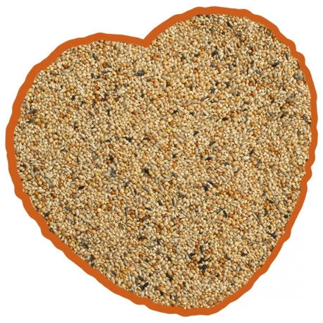 Mélange De Graines Pour Oiseaux Exotiques 20Kg - Duvo 2 Mélange De Graines Pour Oiseaux Exotiques 20Kg - Duvo – Image 2