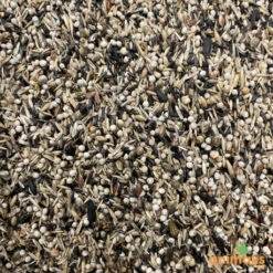 Mélange De Graines Pour Tarins Américains Et Européens 15kg - Hoebre -Oiseau Produits melange de graines pour tarins americains et europeens 15kg 2