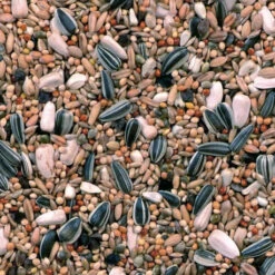 Grandes Perruches Duvo 20 Kg -Oiseau Produits melange pour grandes perruches 20 kg duvo 3