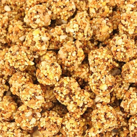 Nutri-Berries "Classic" Perroquet 1,47kg 2 Nutri-Berries "Classic" Perroquet 1,47kg – Image 2