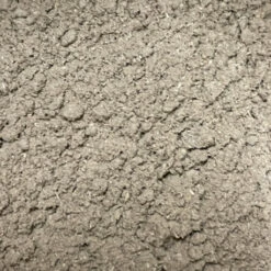 Polygonum 400g - Renouée - En Vrac