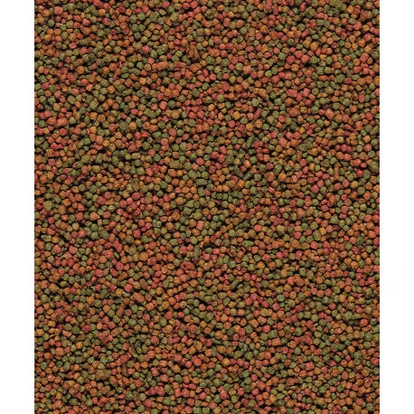 VERSELE-LAGA UNI Komplet 3kg 2 VERSELE-LAGA UNI Komplet 3kg – Image 2